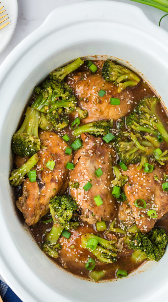 long pin of chicken and broccoli.