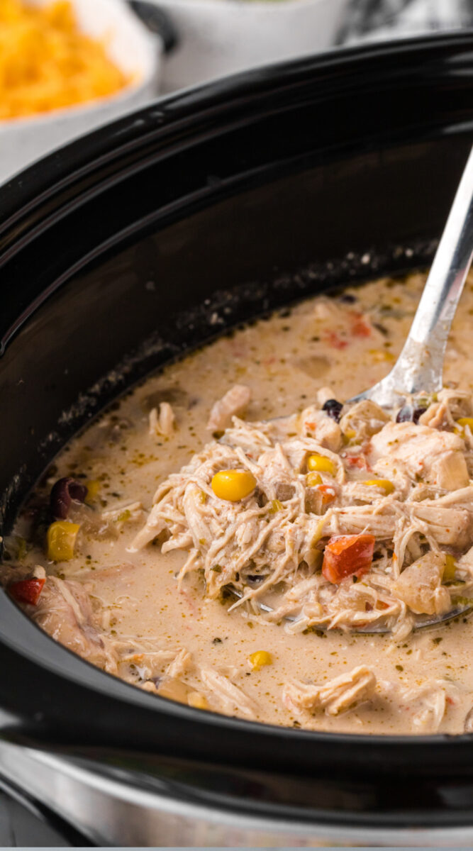 long image of fajita soup in a slow cooker.