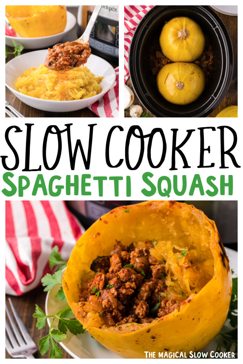 images of turkey meat sauce and spaghetti squash for pinterest.