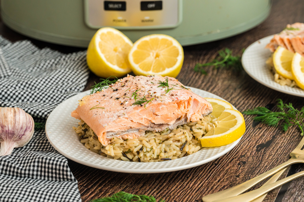 Plate of salmon and rice in front of a slow cooker.