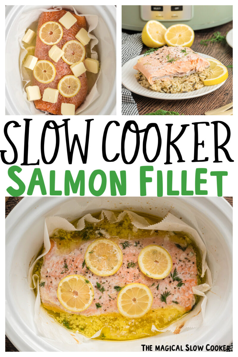 collage of salmon images with text overlay for pinterest.