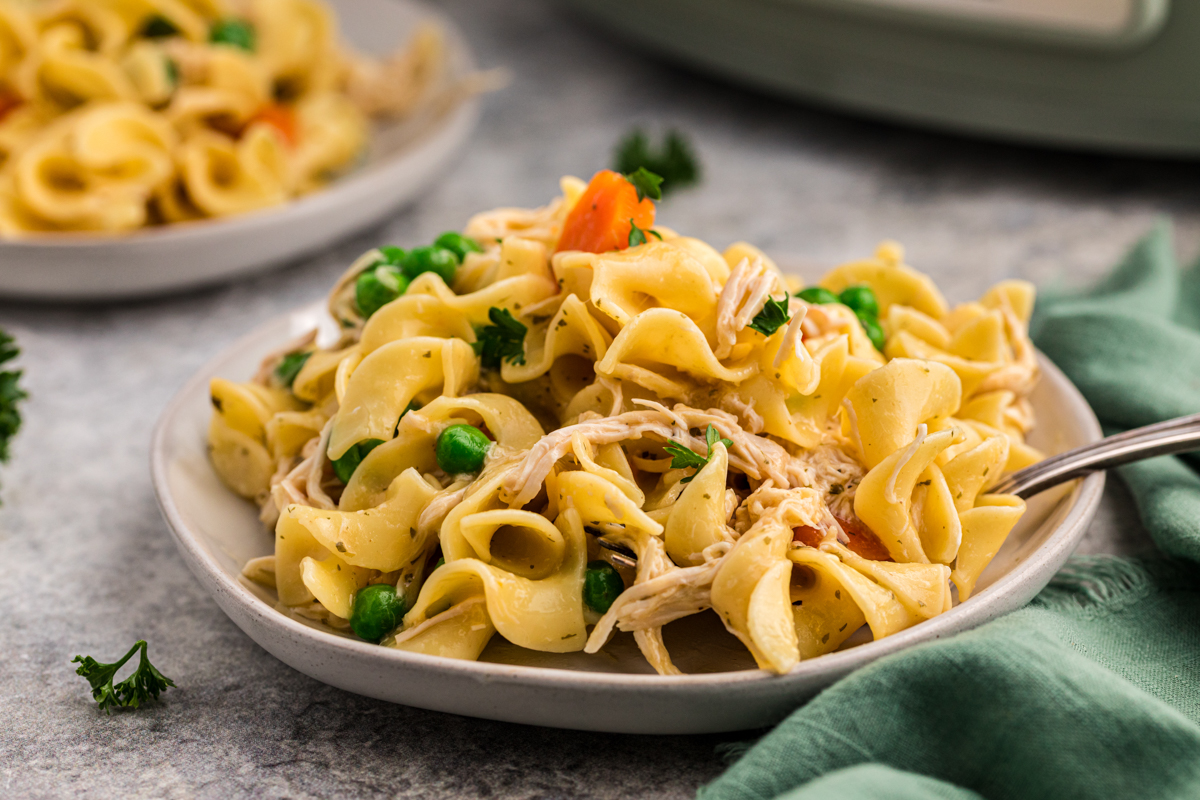 chicken and egg noodles with vegetables on a table.