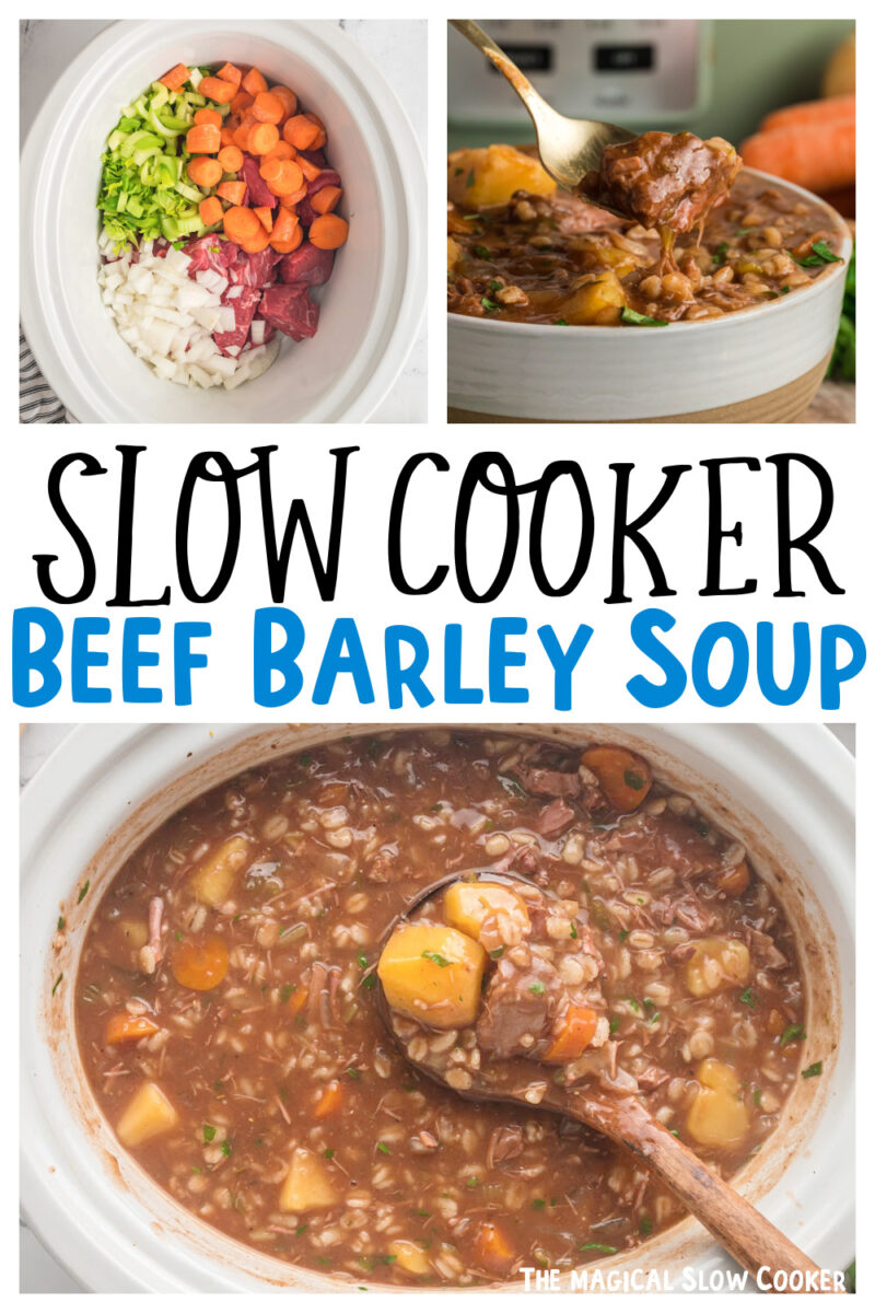 Images of beef barley soup for pinterest.
