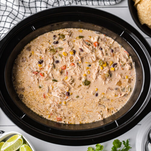 overhead shot of fajita soup in a crockpot.