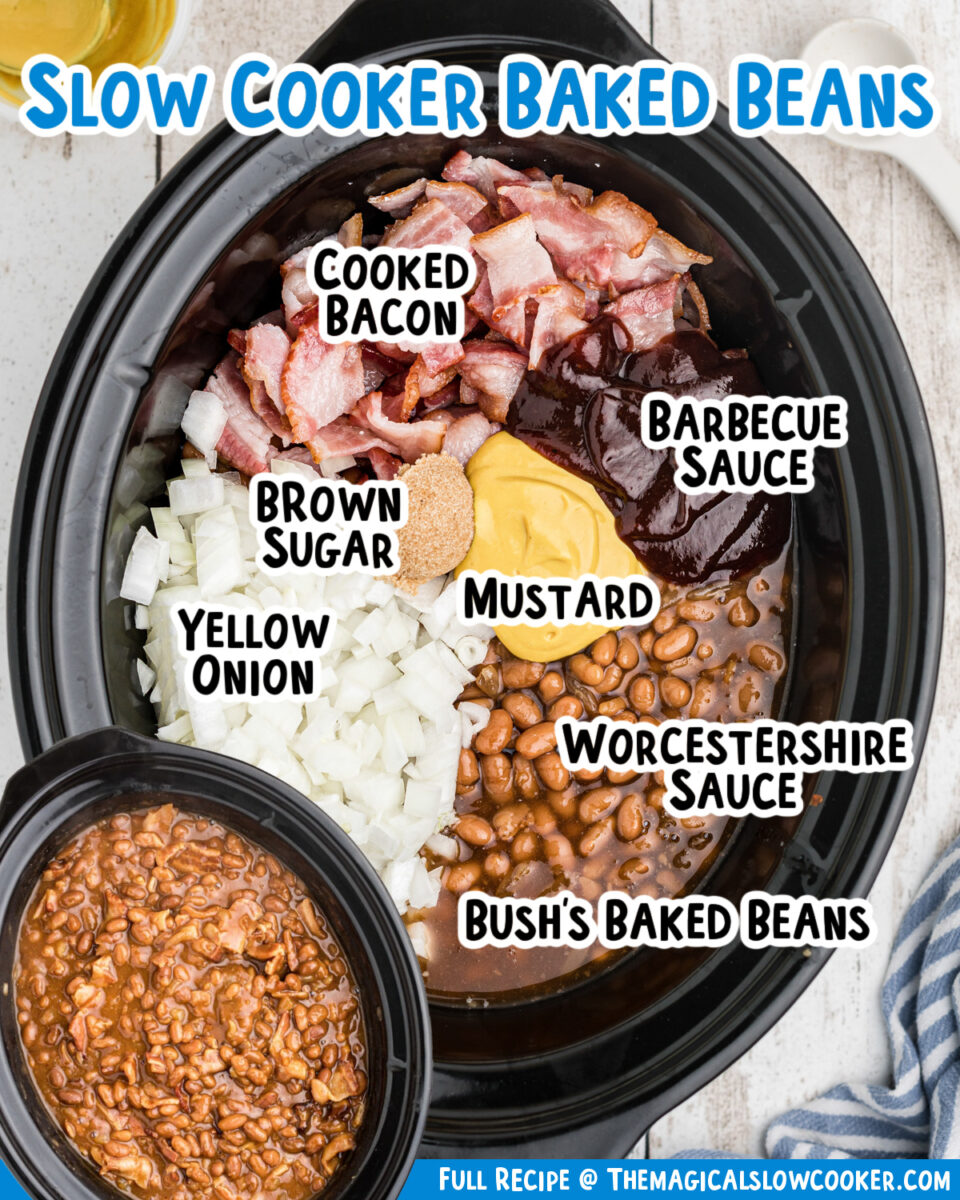 Images of baked beans with text labels of ingredients.