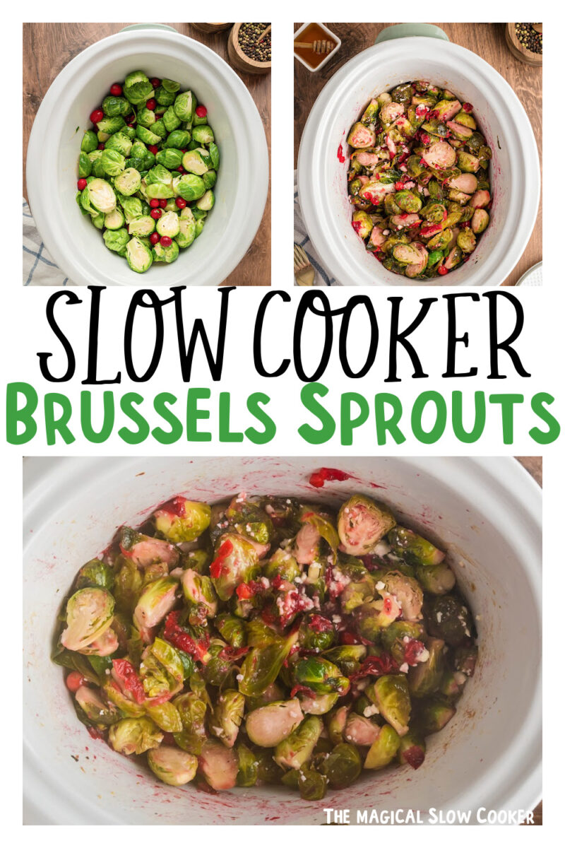images of brussels sprouts with text overlay for pinterest.