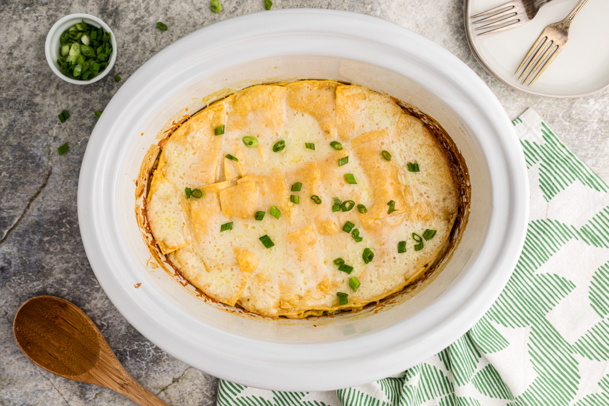 Overhead shot of chicken enchiladas.