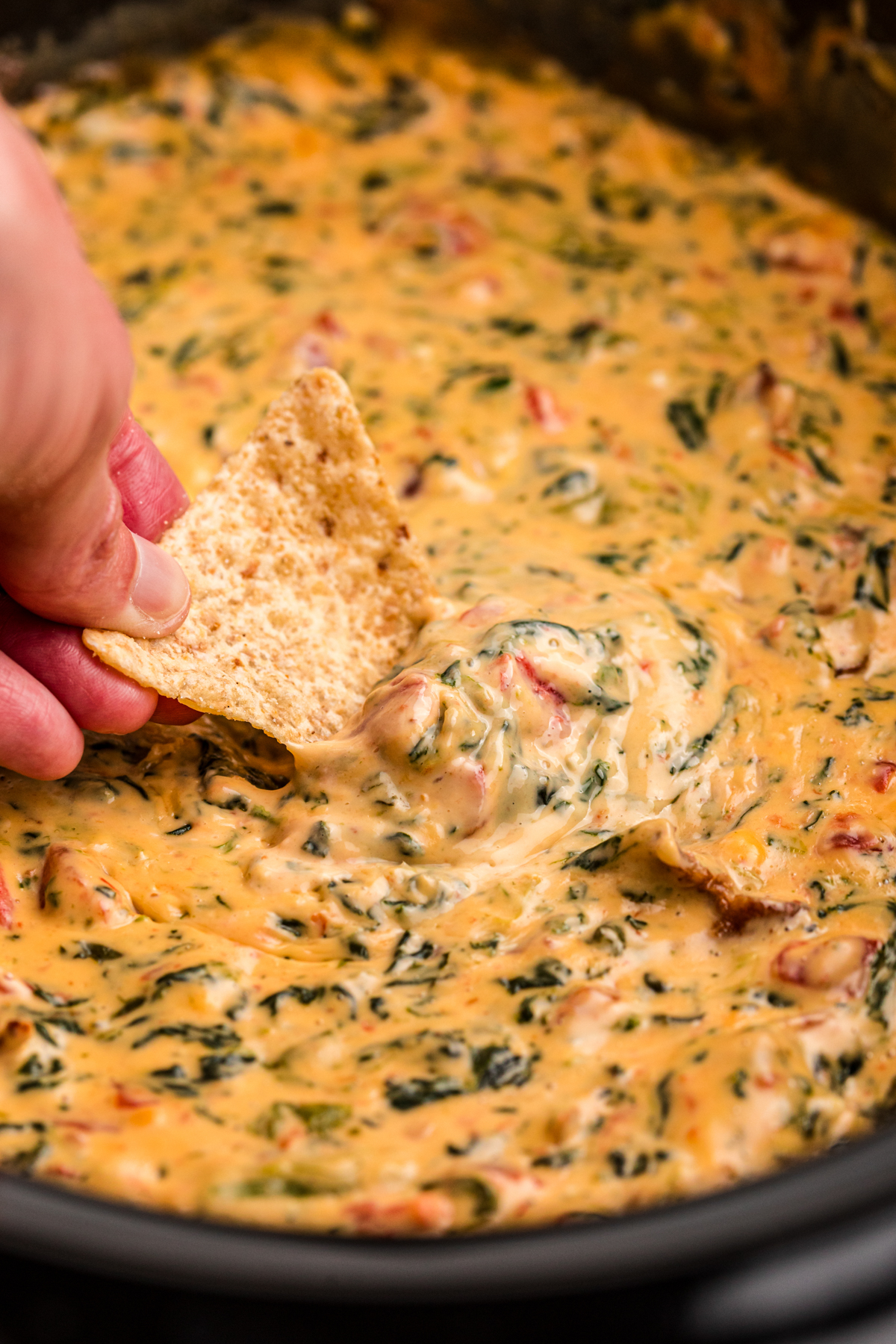 Velveeta spinach dip with a chip.