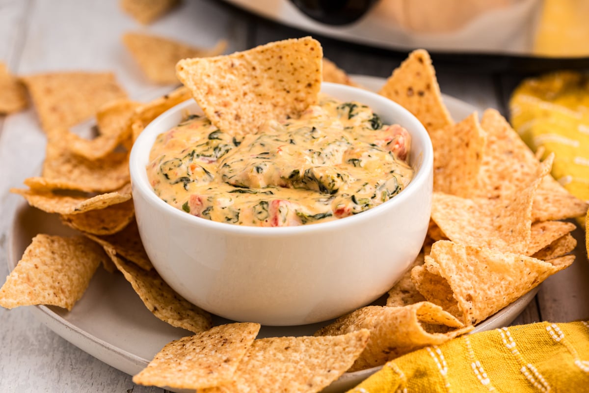 bwol of queso dip with chips around it.