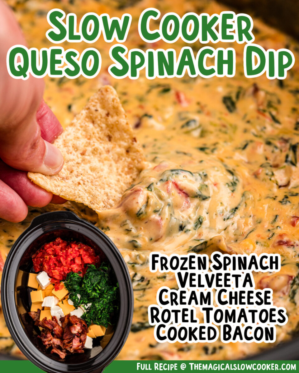 images of queso dip with text of ingredients for facebook.