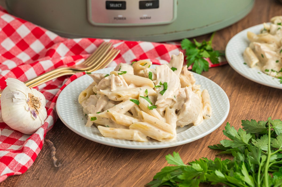 chicken alfredo on a plate.