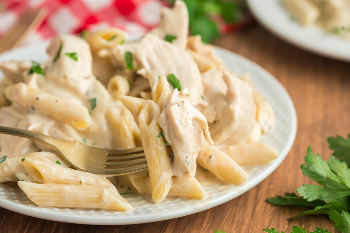 close up of chicken alfredo on a plate.