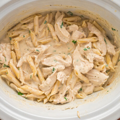 chicken alfredo with noodles in a slow cooker.