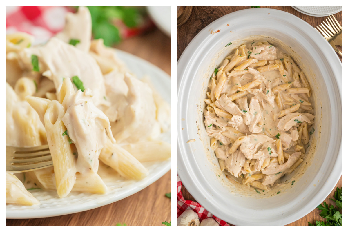 Slow Cooker Chicken Alfredo The Magical Slow Cooker