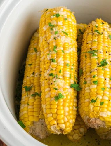 close up of corn on the cob.