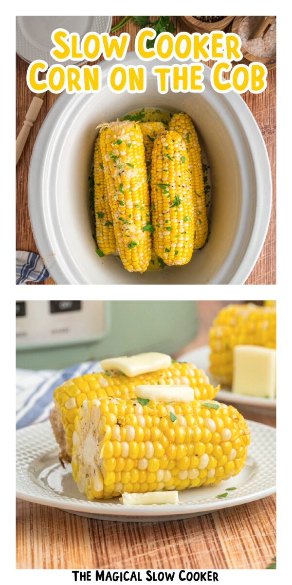 2 images of corn on the cob.