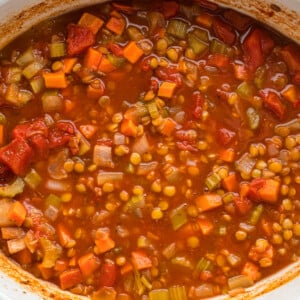 Slow Cooker Lentil Soup - The Magical Slow Cooker