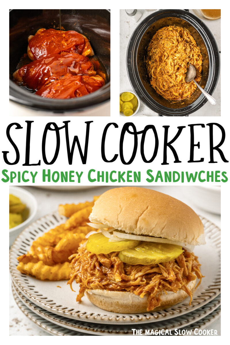 images of spicy chicken sandwiches for pinterest.