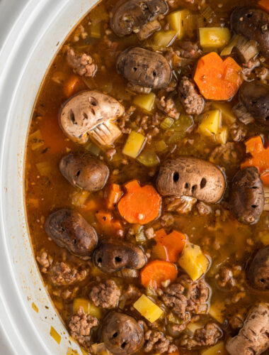 close up of witches brew stew.