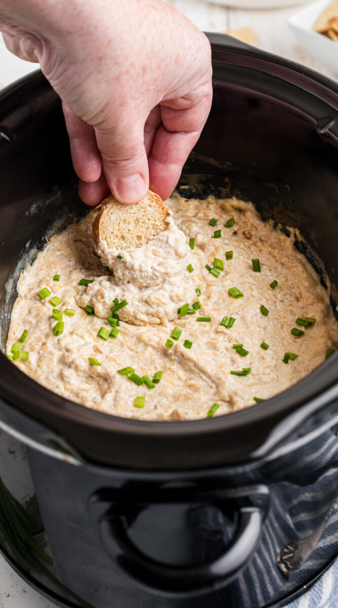 long image of french onion dip.