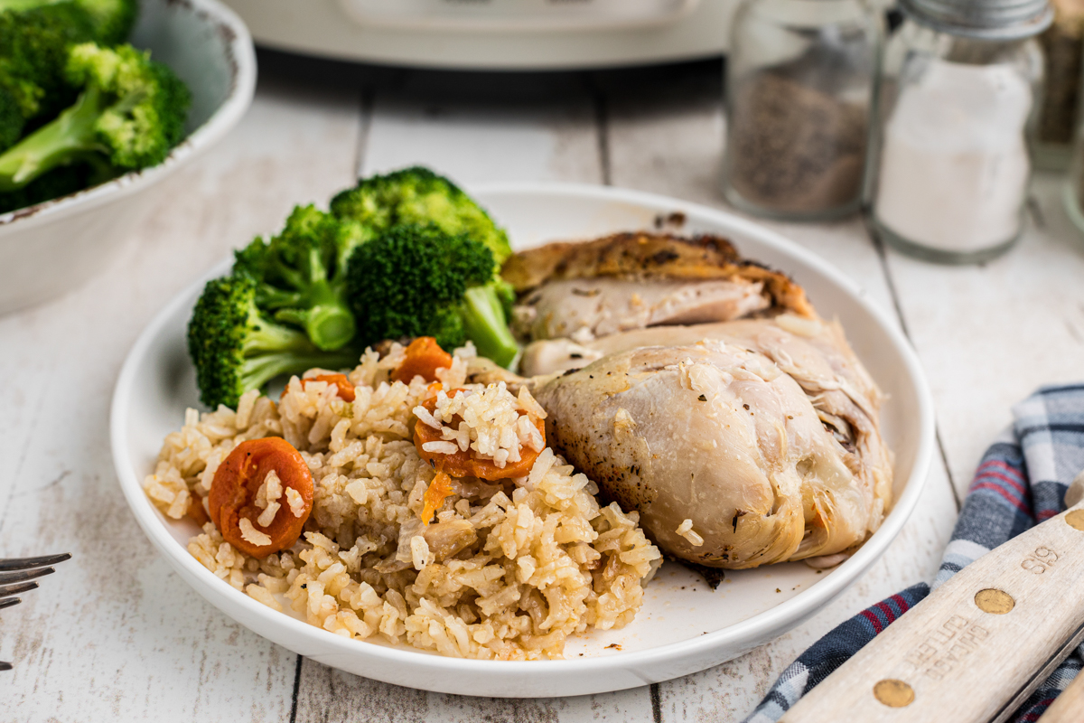 Plate of chicken and rice.