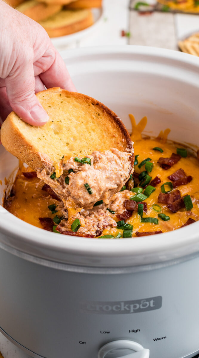 long image of slow cooker barbecue chicken dip.