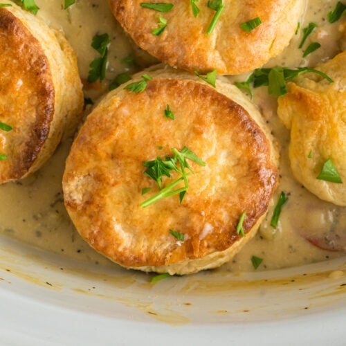 close-up of chicken pot pie with biscuits in a white slow cooker.
