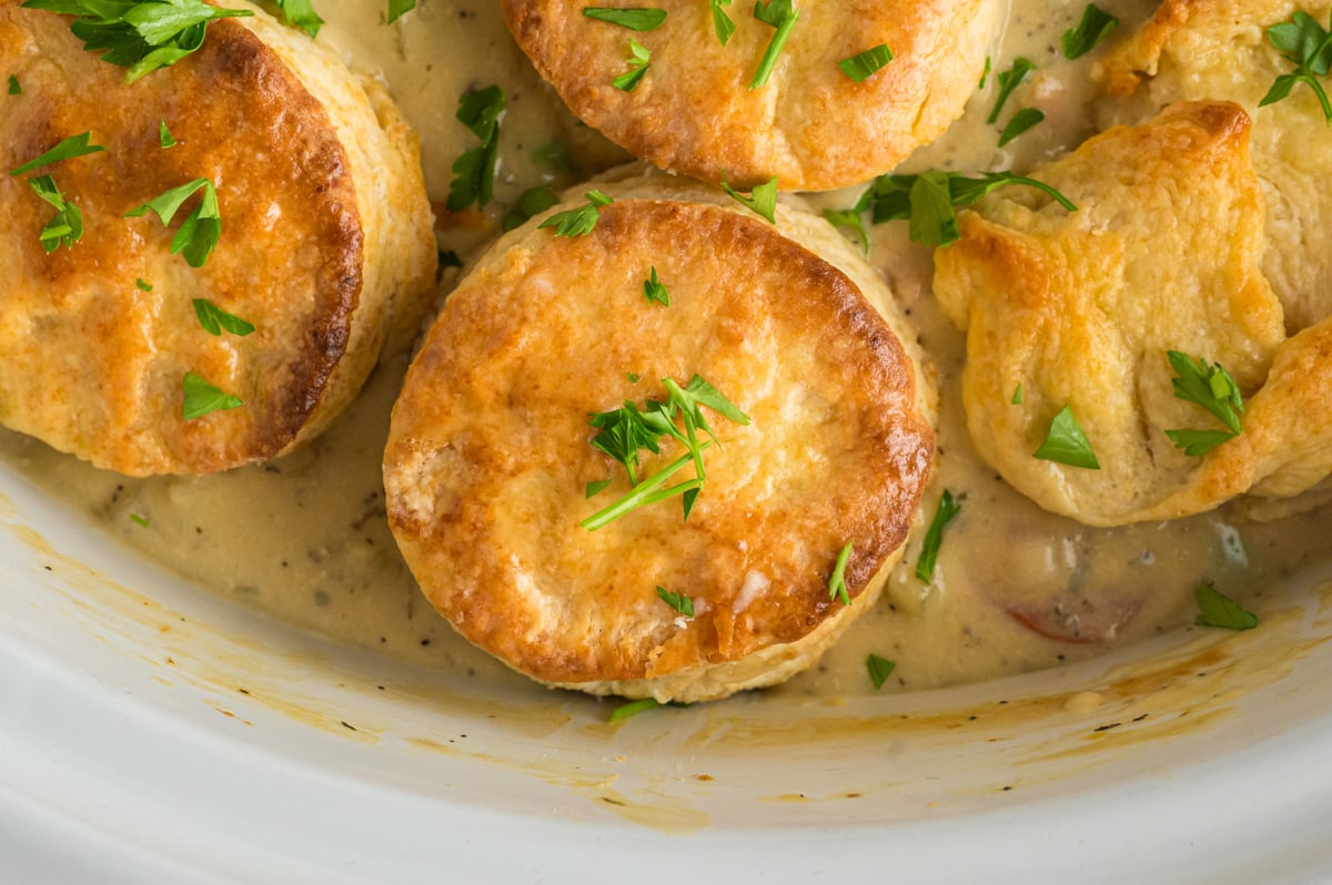 close-up of chicken pot pie with biscuits in a white slow cooker.