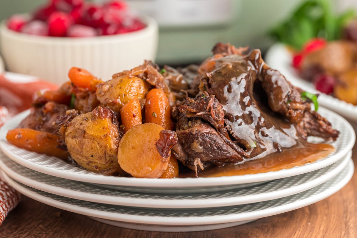 Slow Cooker Cranberry Pot Roast - The Magical Slow Cooker