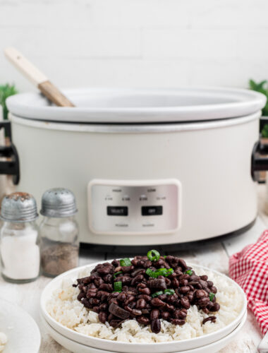 Slow Cooker Recipes for the Busy Family - The Magical Slow Cooker