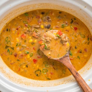Ingredients for nacho soup in a crockpot.