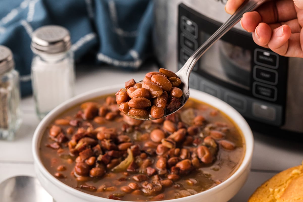 Pinto beans on spoon coming from a bowl.
