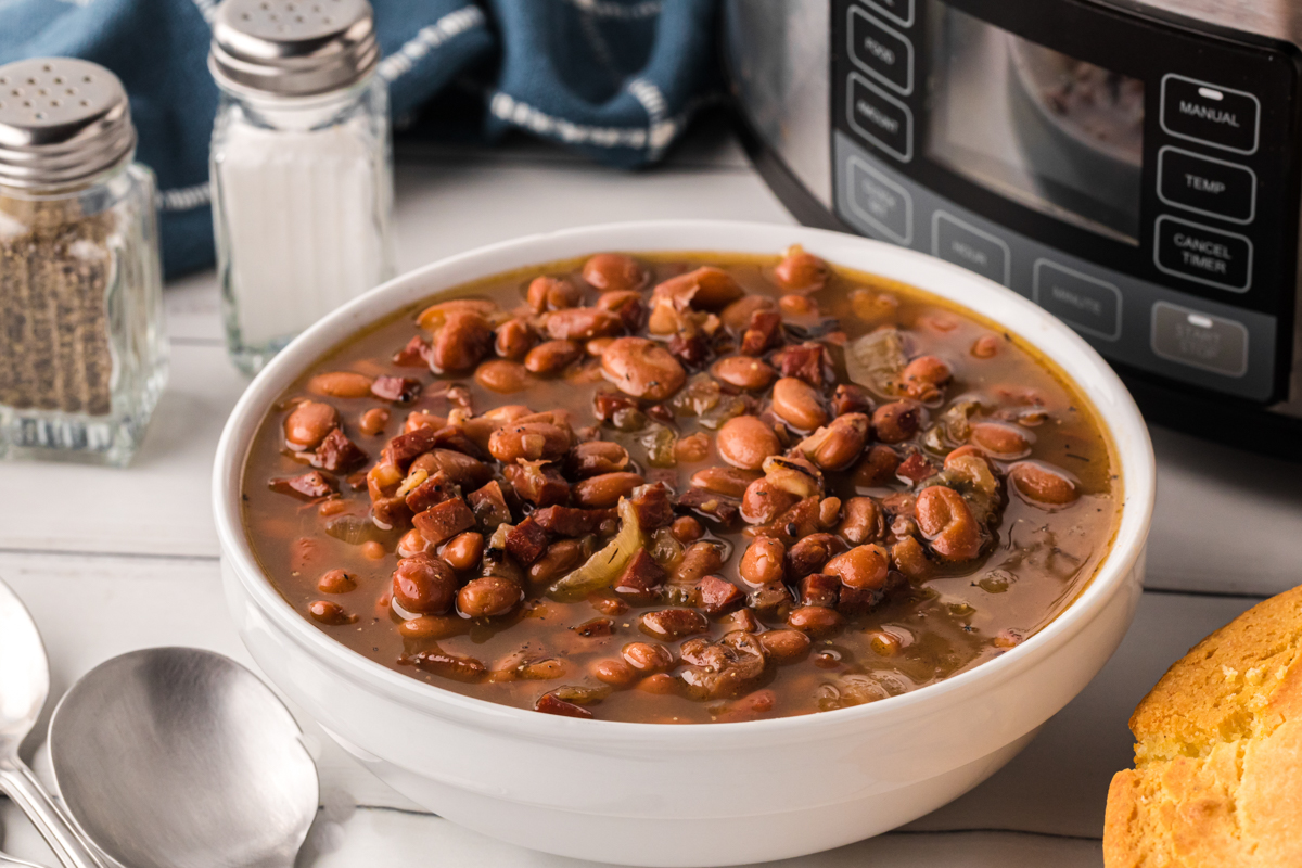 Pinto beans in a white bowl.