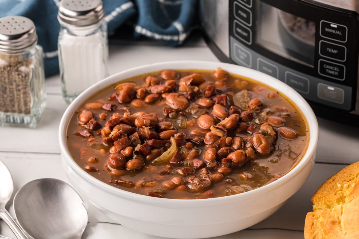 Pinto beans in a white bowl.