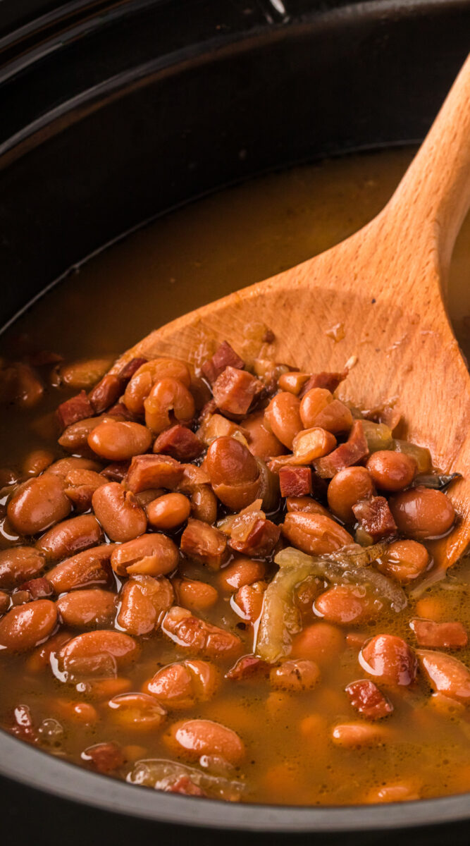 Close up of pinto beans with wooden spoon.