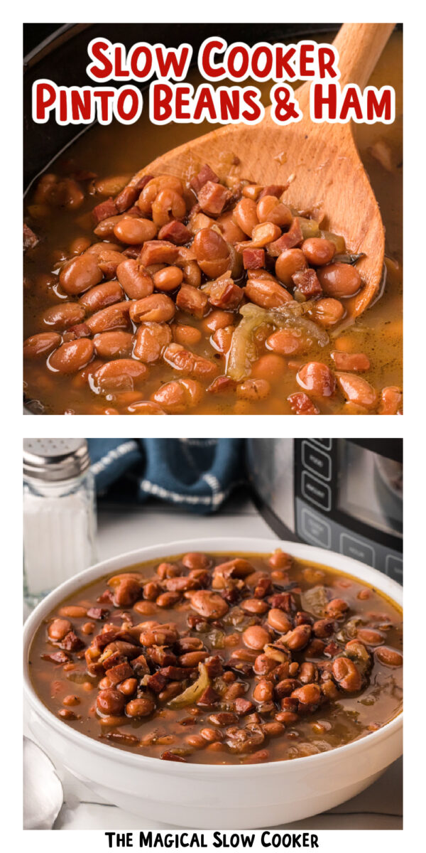 Long image of pinto beans with text overlay.