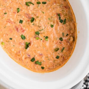 overhead shot of slow cooker buffalo chicken chili.