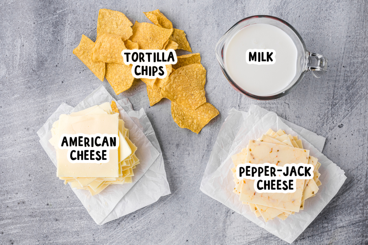 ingredients for slow cooker restaurant style queso on a table.