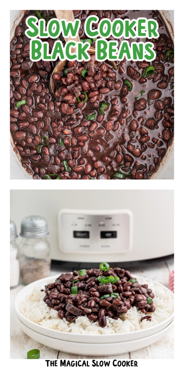Slow Cooker Black Beans - The Magical Slow Cooker