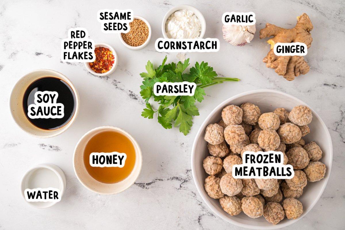 ingredients for slow cooker honey garlic meatballs on a table.