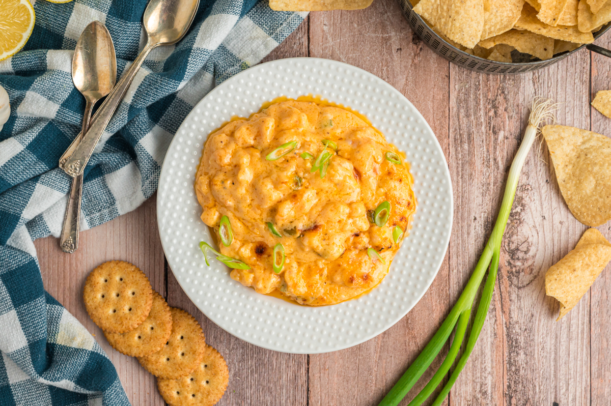overhead of slow cooker hot shrimp dip on a plate.