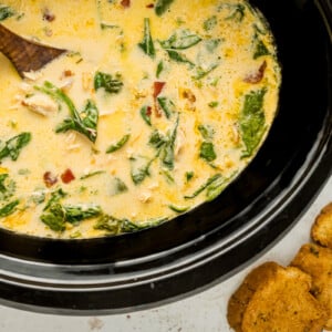 overhead shot of slow cooker crack chicken soup.