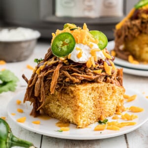 serving of slow cooker pulled pork chow down on a plate.