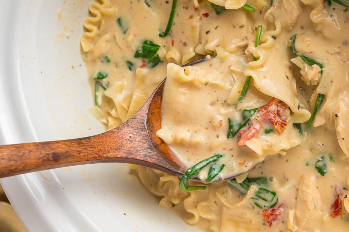 overhead shot of slow cooker white lasagna soup.