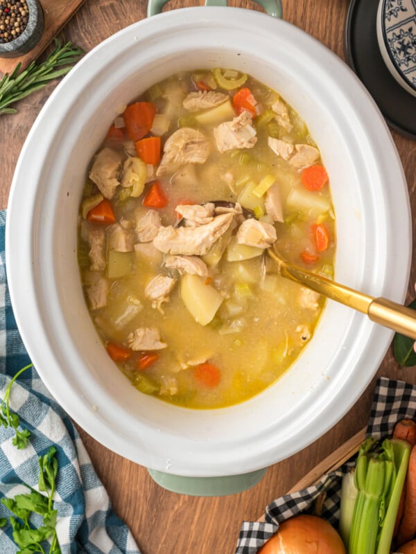 overhead shot of crockpot chicken stew.