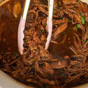 overhead shot of slow cooker flank steak.