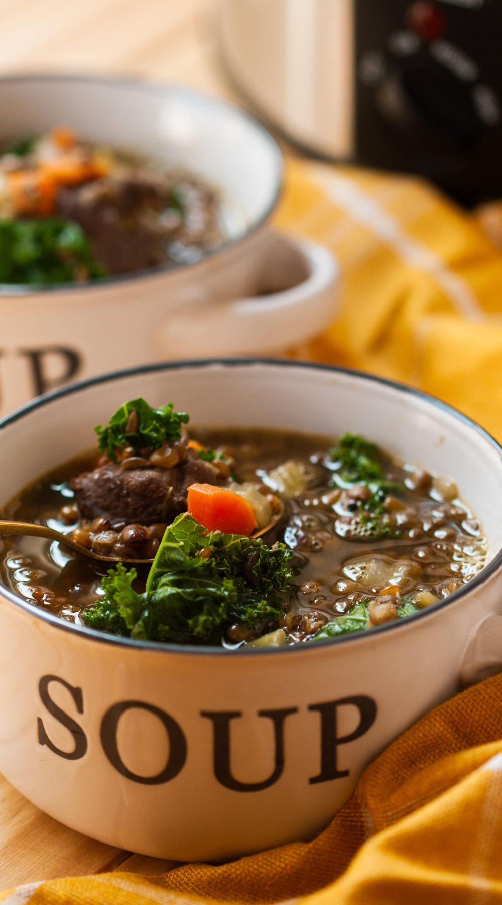 long image of beef and lentil soup.