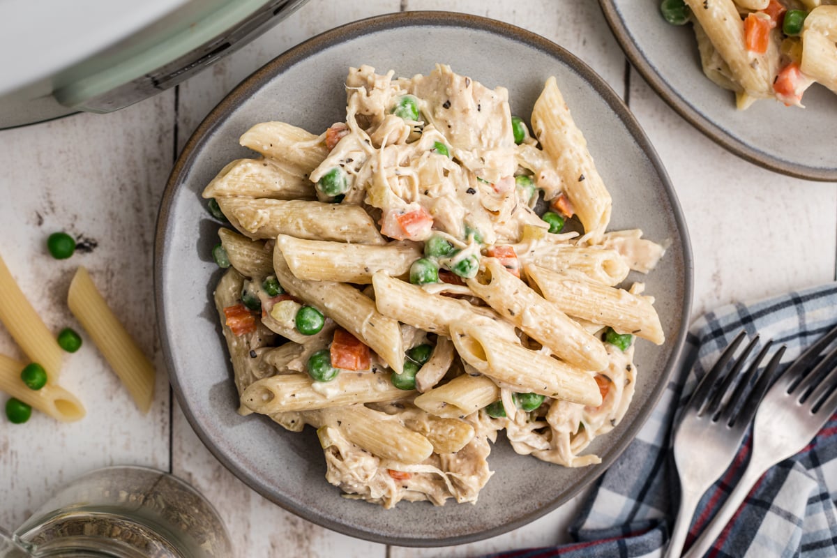 overhead of serving of slow cooker chicken pot pie pasta on a plate.