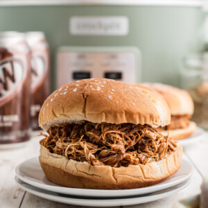 slow cooker root beer chicken on a bun.