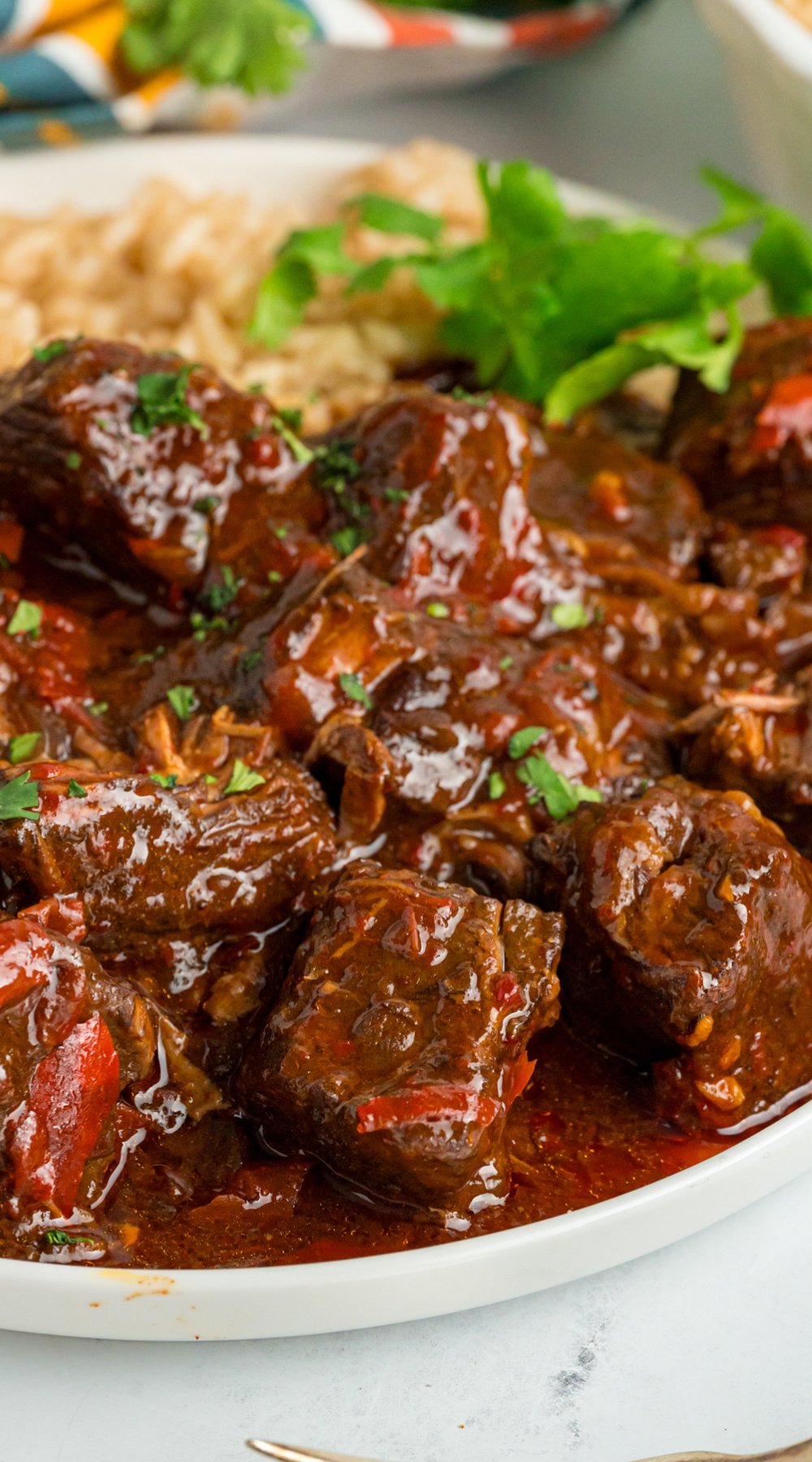 long image of slow cooker chile colorado.